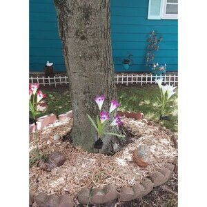 4 Pack Solar Flowers Lights,16 Bigger Head Solar Lily Flowers, 7 Color Changing